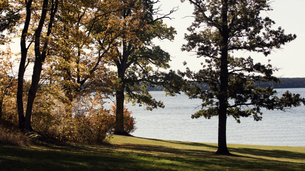 Hyra radhus i Sigtuna – Mälarbadet